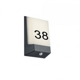 Уличный светильник Trio 228669142 Kasai