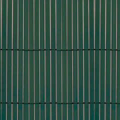 Бамбуковая ограда Tenax Colorado 1х5м зеленая Полтава