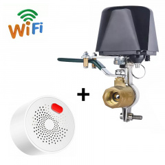 WiFi Комплект защиты от утечки газа Digital Lion Ужгород
