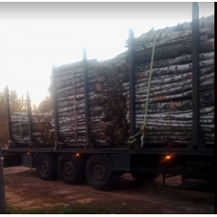 Дрова берези 2-х метрівками Drovianik, ціна без доставки Київ
