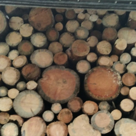 Дрова сосни цурками по 40-50 см Drovianik, ціна без доставки