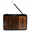 Радиоприемник Golon T-LA27530 RX-A608AC Brown FM/AM/SW1/TV Житомир