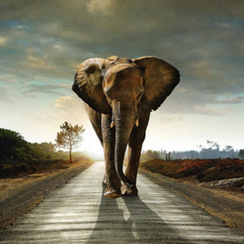 Фотообои Prestige №28 272х196 8листов