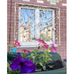 Решётки кованые упрочнённые светлые Legran Луцк
