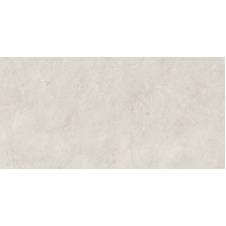 Керамическая плитка Paradyz Afternoon Silver Sciana Rekt. G1 29,8х59,8 см