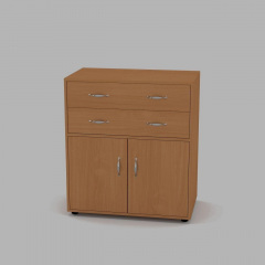 Комод Компаніт Комод-2+2 784x875x450 бук Стрий