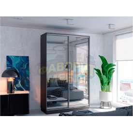 Шкаф-купе Гарант ШК (1000х450х2200) 2Д Дсп