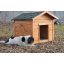 Будка для собаки Bud XL 115x80x80 DREVUS дерево (3002) Киев