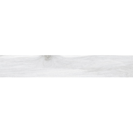 Плитка Ecoceramic Tasmania Frost Mat 20х120 см