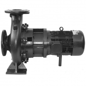 Hayward Насос Hayward HCP1743E24 (220 В 54 м3/ч 4 HP) чугунный корпус