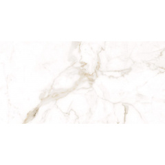 Плитка Allore Group Alcora Gold FPR Mat 60х120 см Хмельницький