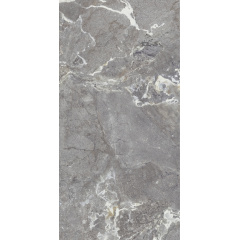 Плитка Allore Group Snake stone Grey Mat 120х60 см Киев