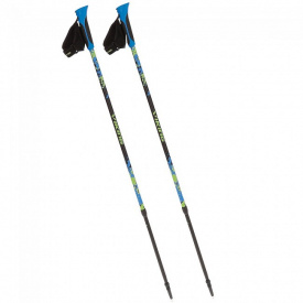 Палки для скандинавской ходьбы Viking Ruten Pro (VI-RUTEN-15)