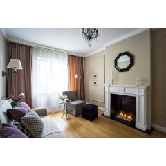 Механічний біокамін, камін на біопаливі Gloss Fire Алаїд Style 500 K C2 Виноградів