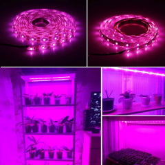 Світлодіодна ФітоЛента GrowLight для кімнатних рослин 5V USB 2835 1 м (L363F) Якимівка