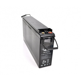 Аккумуляторная батарея Merlion AGM FT-12100 12V 100Ah