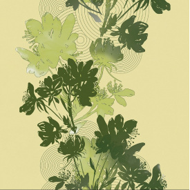 Обои на бумажной основе простые Шарм 160-03 Соната зеленые (0,53х10м.)