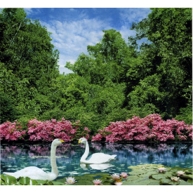 Фотообои Арт Декор Дуэт 194х201