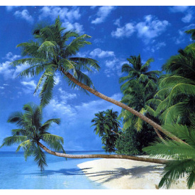 Фотообои Ника Тайны Джунглей 196х210