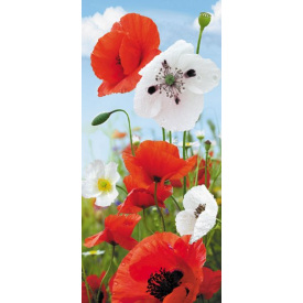 Фотообои Ролес Маки 210х97