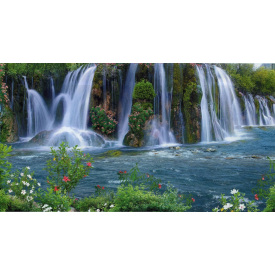 Фотообои Арт Декор Амазония 201х388