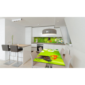 Наклейка на стіл Zatarga  "Метелик" 650х1200мм (Z180137/1st)