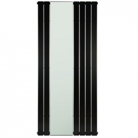 Трубчатый радиатор Betatherm Mirror 1800x750 вертикальный RAL9005М (с зеркалом)