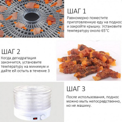 Сушарка для овочів та фруктів Royals Berg електрична 800W Стрий