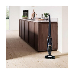 Вертикальный+ручной пылесос (2в1) Electrolux WQ71-P50IB Конотоп