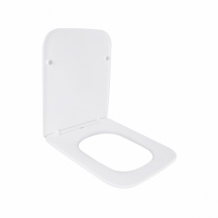 Сиденье Для Унитаза Qtap Tern С Микролифтом Slim Qt99Hxu10W Бердичев