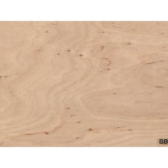 Фанера ФК 2500х1250х18 мм сорт 4/4 Україна