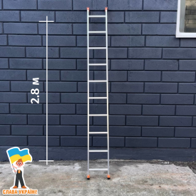 Алюминиевая односекционная лестница на 10 ступеней Техпром