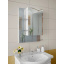 Зеркальный шкаф в ванную комнату Tobi Sho 075 без подсветки 700х500х125 мм Сумы
