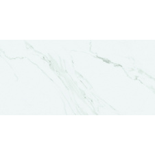 Плитка Stevol Carrara Gris матова 600x1200x11 мм