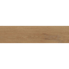 Плитка Allore Group Ecowood F PR NR Mat 1150x600x8,5 мм Киев