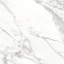 Плитка Stevol Medici White Pulido полірована 120х120 см Токмак
