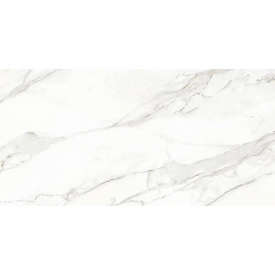 Плитка Allore Group Montero Silver F P Nr Satin 310х610х7 мм