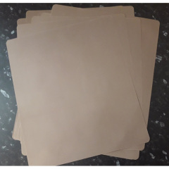 Антипригарный лист для дегидратора Biochef Savana Dehydrator 6/9/12 - Non Stick Sheet Київ