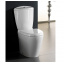 Унітаз RAK Ceramics Venice ABS Soft Close Delux RAK0040 Білий Жмеринка