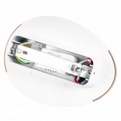 Підсвітка Flora декоративна LED Flora Золотий/Білий (HS006/gd-10w) (SK000616) Київ