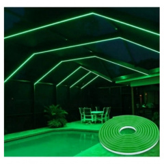 Силіконова стрічка NEON LED 0764 5 метрів 12V-220V Green Петрове