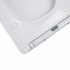 Унитаз-Компакт Qtap Nando Безободковый С Сидением Soft-Close Qt12221222Aw Ладан