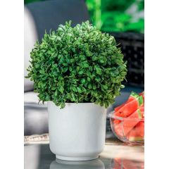 Горшок для цветов Сатина Еко-20 белый Form-Plastic Березне