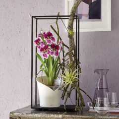 Вазон Lechuza Orchidea 20 белый 1 л Київ