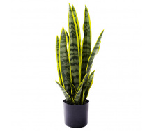 Искуственное растение Engard Sansevieria 57 см (TW-43)