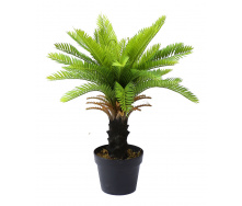 Искусственное растение Engard Cycas Palm, 60 см (DW-24)