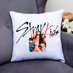 Подушка декоративная Кавун Группа Stray Kids 40x40 см (П000797) Винница