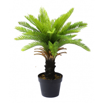 Искусственное растение Engard Cycas Palm, 60 см (DW-24)