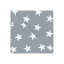 Набор салфеток Cosas GREY STARS Ранфорс 30х30 см 4 шт. Городок