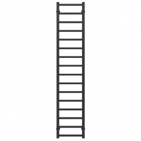 Полотенцесушитель водяной Forest П16 300х1600 Deffi Черный (A.FR.160.30.16.B.C)